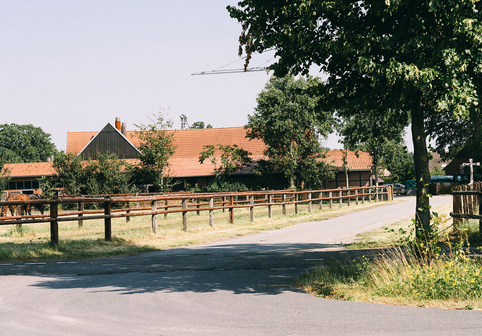 Stallgebäude und Wiesen auf dem Hof Schulze Topphoff