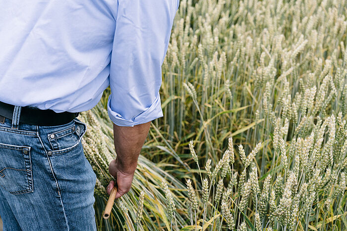 Mit Forschung die Landwirtschaft in der Zukunft gestalten