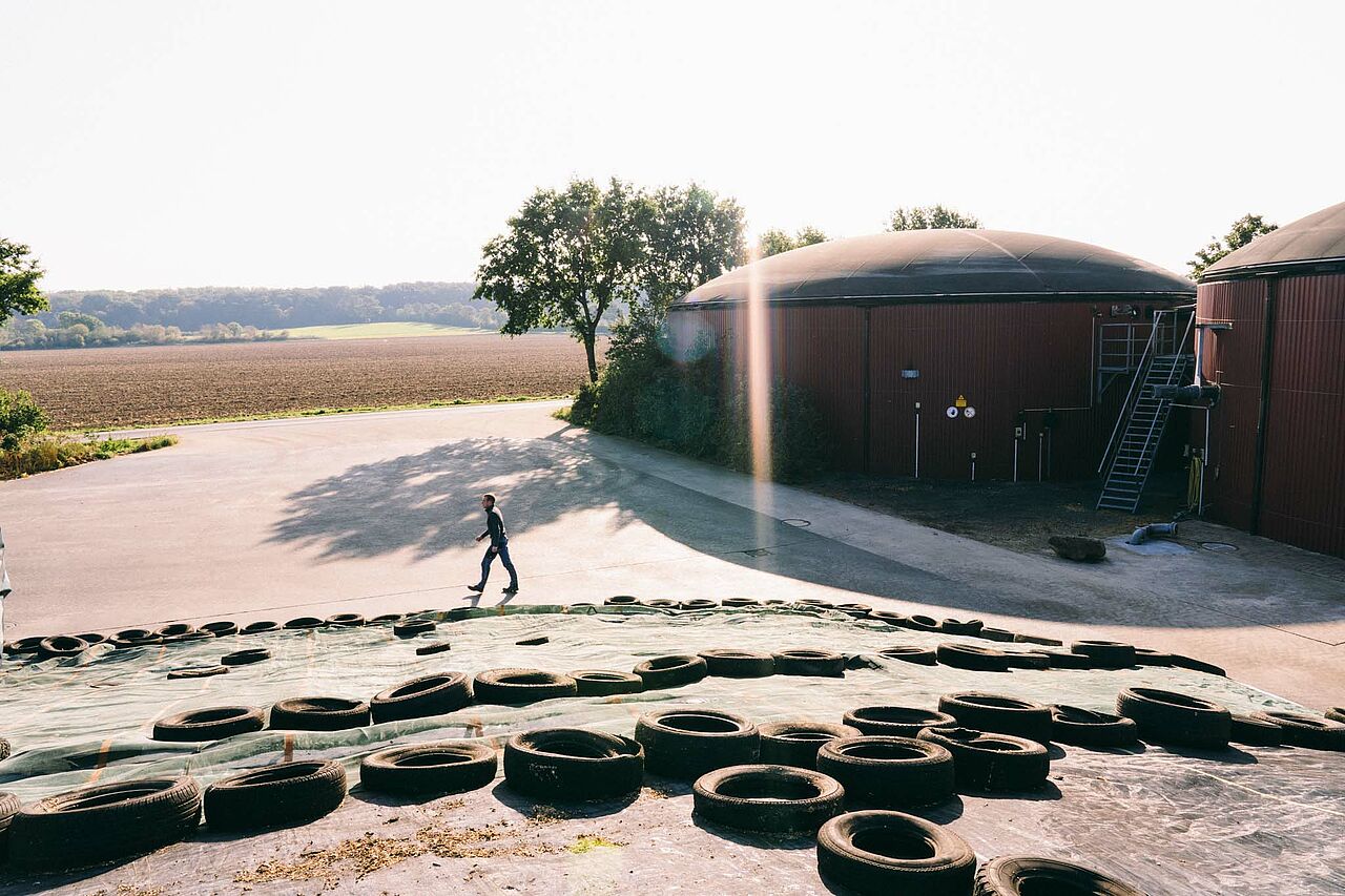 Überblick auf den Hof