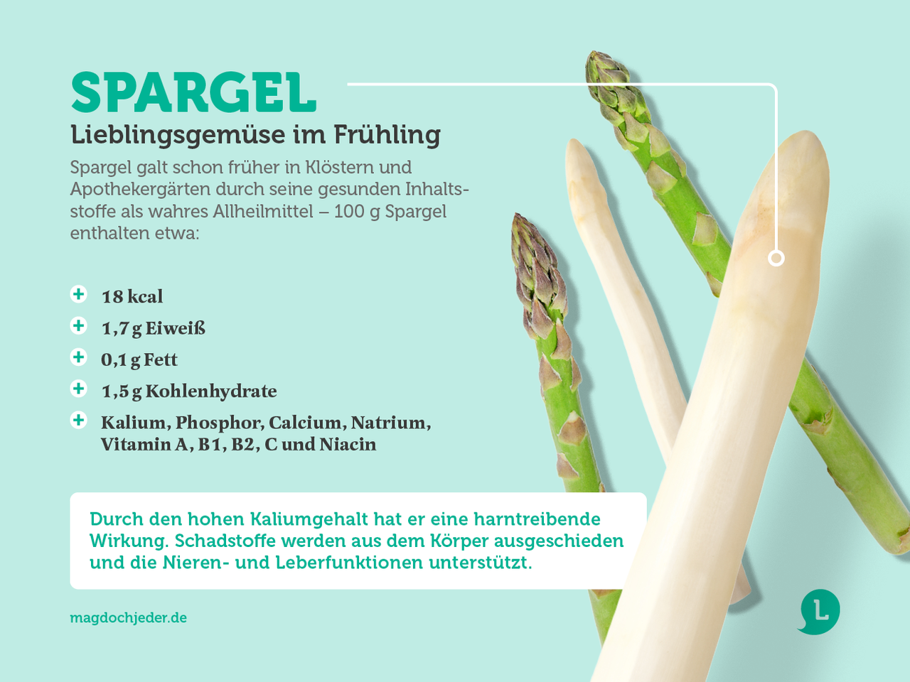 Infografik zu Spargelinhaltsstoffen 