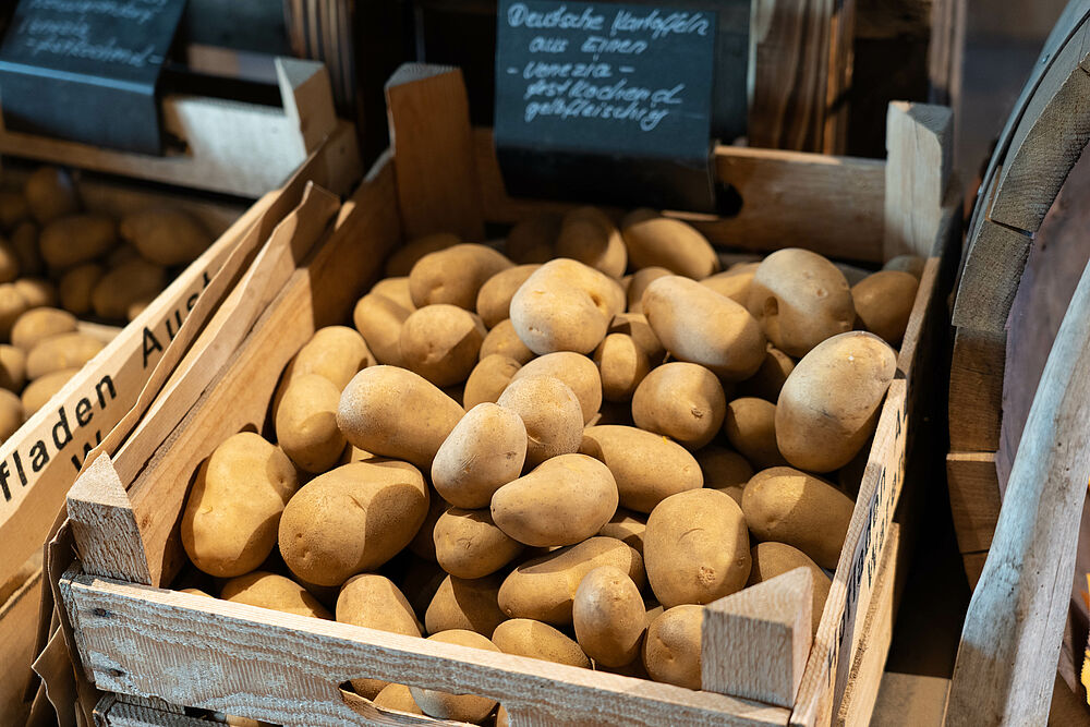 Unterschiedliche Kartoffelsorten 