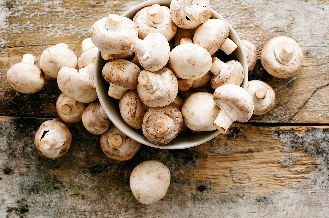 Champignons Saisonkalender August