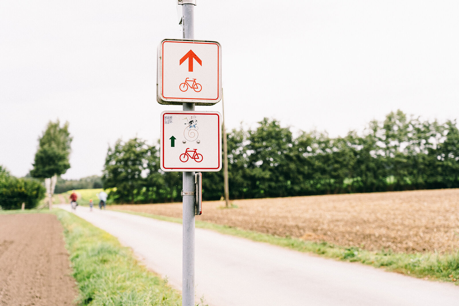 Radweg im Münsterland entlang landwirtschaftlicher Betriebe