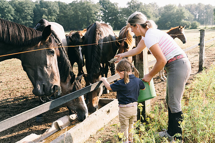 Alle Familienmitglieder kümmern sich um die Pferde